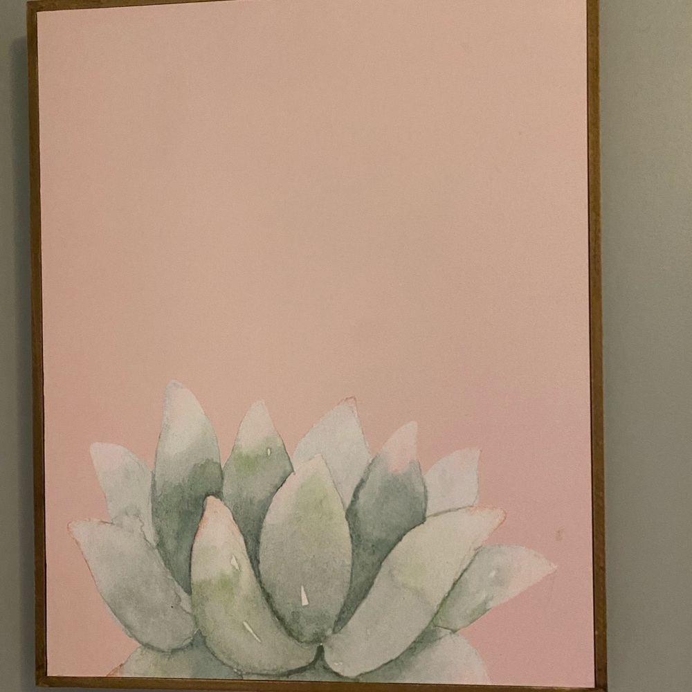 Cactus Picture